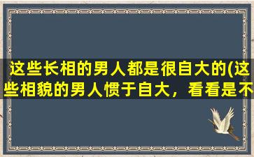 这些长相的男人都是很自大的(这些相貌的男人惯于自大，看看是不是真的？)