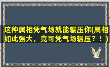 这种属相凭气场就能辗压你(属相如此强大，竟可凭气场辗压？！)