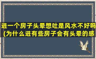 进一个房子头晕想吐是风水不好吗(为什么进有些房子会有头晕的感觉)