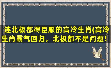 连北极都得臣服的高冷生肖(高冷生肖霸气回归，北极都不是问题！)