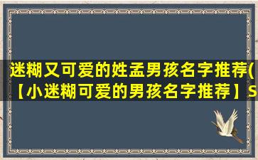 迷糊又可爱的姓孟男孩名字推荐(【小迷糊可爱的男孩名字推荐】SEO)