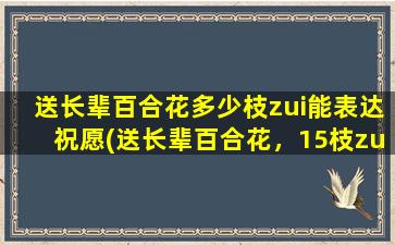 送长辈百合花多少枝zui能表达祝愿(送长辈百合花，15枝zui佳祝愿，快来了解吧！)