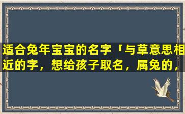 适合兔年宝宝的名字「与草意思相近的字，想给孩子取名，属兔的，想去一个跟草有关的字，或意思相近的」