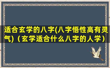 适合玄学的八字(八字悟性高有灵气)（玄学适合什么八字的人学）