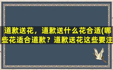 道歉送花，道歉送什么花合适(哪些花适合道歉？道歉送花这些要注意)