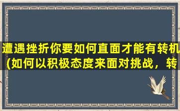 遭遇挫折你要如何直面才能有转机(如何以积极态度来面对挑战，转危为机？)