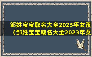 邹姓宝宝取名大全2023年女孩（邹姓宝宝取名大全2023年女孩名字）