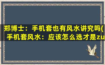 郑博士：手机套也有风水讲究吗(手机套风水：应该怎么选才是zui好的呢？)