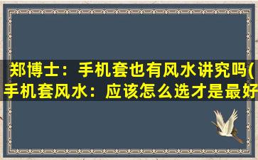 郑博士：手机套也有风水讲究吗(手机套风水：应该怎么选才是最好的呢？)