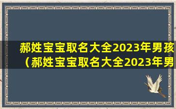 郝姓宝宝取名大全2023年男孩（郝姓宝宝取名大全2023年男孩名字）