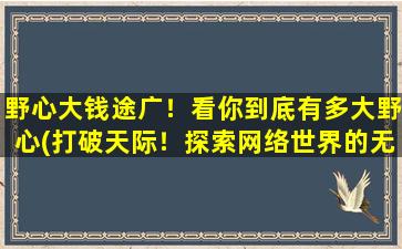 野心大钱途广！看你到底有多大野心(打破天际！探索网络世界的无限可能)