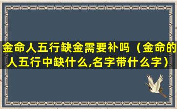 金命人五行缺金需要补吗（金命的人五行中缺什么,名字带什么字）