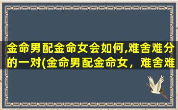 金命男配金命女会如何,难舍难分的一对(金命男配金命女，难舍难分的姻缘)