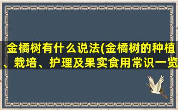 金橘树有什么说法(金橘树的种植、栽培、护理及果实食用常识一览)