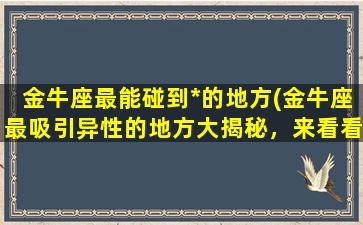 金牛座最能碰到*的地方(金牛座最吸引异性的地方大揭秘，来看看吧！)