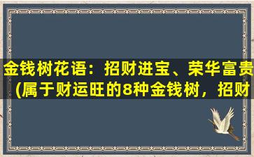 金钱树花语：招财进宝、荣华富贵(属于财运旺的8种金钱树，招财进宝、财源广进全书！)