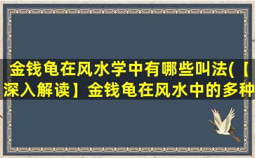 金钱龟在风水学中有哪些叫法(【深入解读】金钱龟在风水中的多种别名及象征意义)