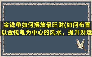 金钱龟如何摆放最旺财(如何布置以金钱龟为中心的风水，提升财运)