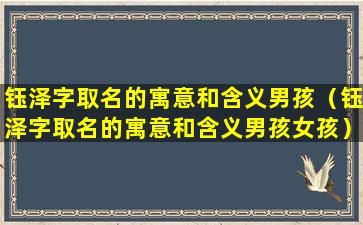 钰泽字取名的寓意和含义男孩（钰泽字取名的寓意和含义男孩女孩）