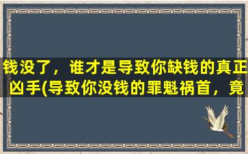 钱没了，谁才是导致你缺钱的真正凶手(导致你没钱的罪魁祸首，竟然不是你花钱太多！)