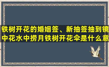 铁树开花的婚姻签、新抽签抽到镜中花水中捞月铁树开花伞是什么意思