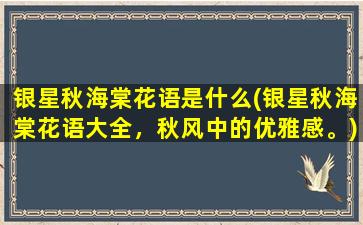 银星秋海棠花语是什么(银星秋海棠花语大全，秋风中的优雅感。)