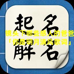 镜头下哪些感人的爸爸「你是明月清风歌词」