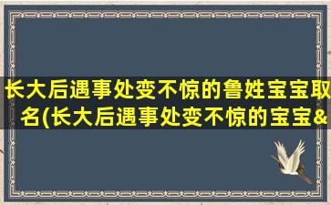 长大后遇事处变不惊的鲁姓宝宝取名(长大后遇事处变不惊的宝宝——鲁姓宝宝取名中心)