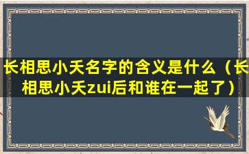 长相思小夭名字的含义是什么（长相思小夭zui后和谁在一起了）