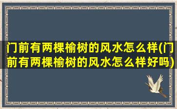 门前有两棵榆树的风水怎么样(门前有两棵榆树的风水怎么样好吗)