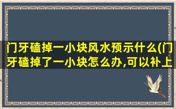 门牙磕掉一小块风水预示什么(门牙磕掉了一小块怎么办,可以补上去吗)