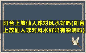 阳台上放仙人球对风水好吗(阳台上放仙人球对风水好吗有影响吗)