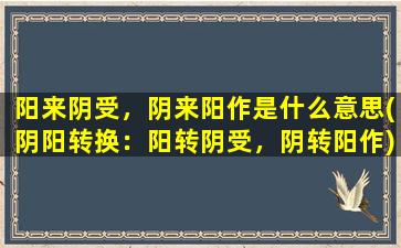 阳来阴受，阴来阳作是什么意思(阴阳转换：阳转阴受，阴转阳作)