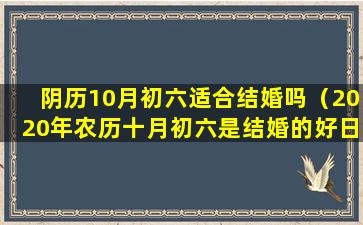 阴历10月初六适合结婚吗（2020年农历十月初六是结婚的好日子吗）