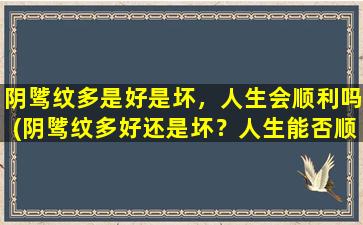 阴骘纹多是好是坏，人生会顺利吗(阴骘纹多好还是坏？人生能否顺利？-详解阴骘纹多的吉凶预测)