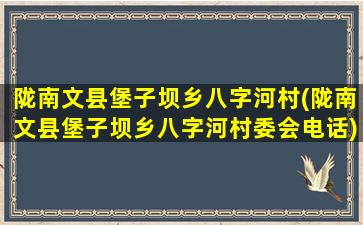 陇南文县堡子坝乡八字河村(陇南文县堡子坝乡八字河村委会电话)