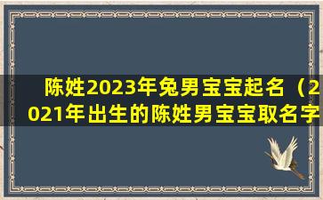 陈姓2023年兔男宝宝起名（2021年出生的陈姓男宝宝取名字）