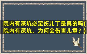 院内有深坑必定伤儿丁是真的吗(院内有深坑，为何会伤害儿童？)