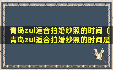 青岛zui适合拍婚纱照的时间（青岛zui适合拍婚纱照的时间是几月份）