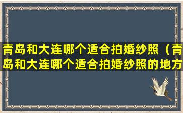 青岛和大连哪个适合拍婚纱照（青岛和大连哪个适合拍婚纱照的地方）