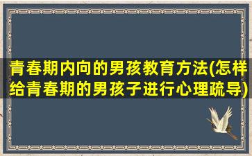 青春期内向的男孩教育方法(怎样给青春期的男孩子进行心理疏导)