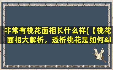 非常有桃花面相长什么样(【桃花面相大解析，透析桃花是如何“非常”盛开的】)