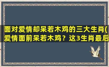 面对爱情却呆若木鸡的三大生肖(爱情面前呆若木鸡？这3生肖最后都会状告告白，快来看看是哪些！)