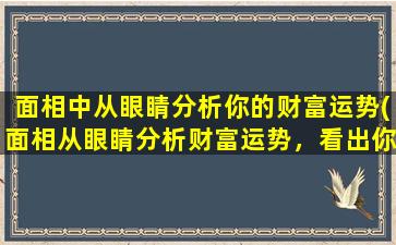 面相中从眼睛分析你的财富运势(面相从眼睛分析财富运势，看出你的财富前途如何！)