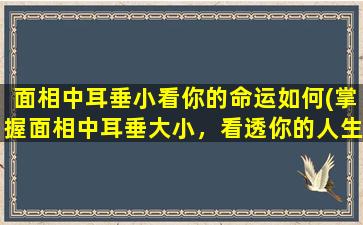 面相中耳垂小看你的命运如何(掌握面相中耳垂大小，看透你的人生命运)