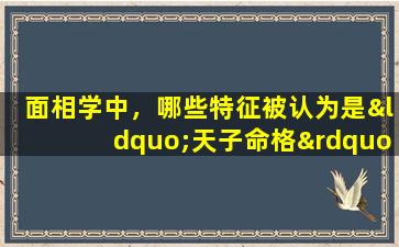 面相学中，哪些特征被认为是“天子命格”的好命标志