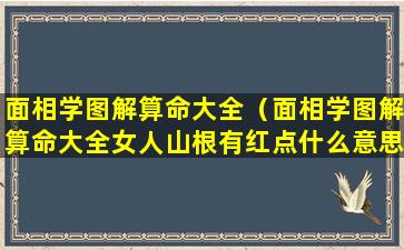 面相学图解算命大全（面相学图解算命大全女人山根有红点什么意思）