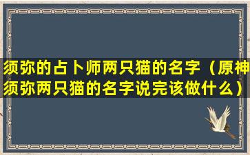 须弥的占卜师两只猫的名字（原神须弥两只猫的名字说完该做什么）