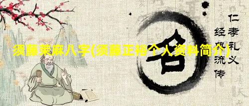 须藤茉麻八字(须藤正裕个人资料简介)