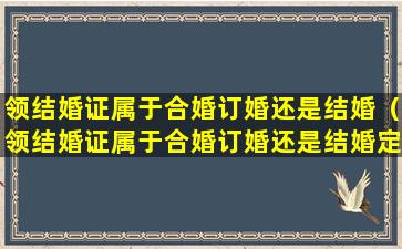 领结婚证属于合婚订婚还是结婚（领结婚证属于合婚订婚还是结婚定婚呢）